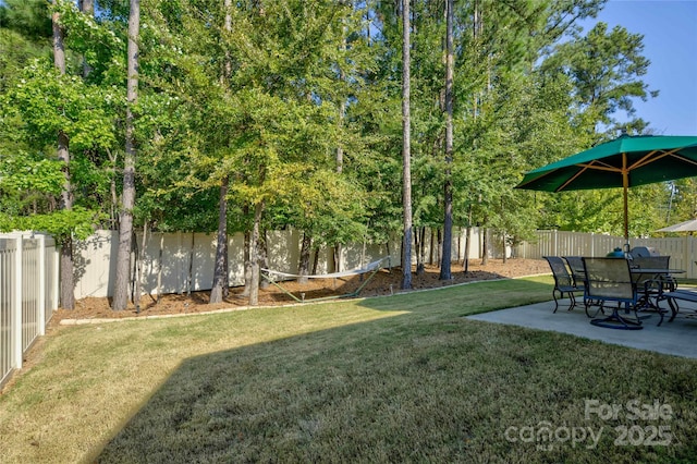 view of yard featuring a patio area and a fenced backyard