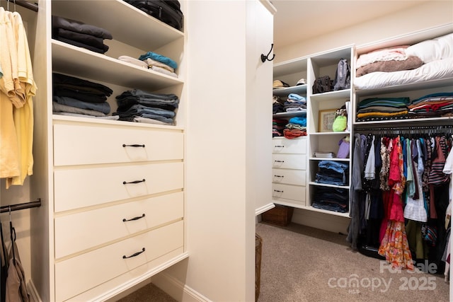 spacious closet with carpet floors