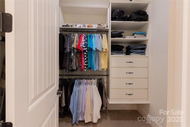 view of closet