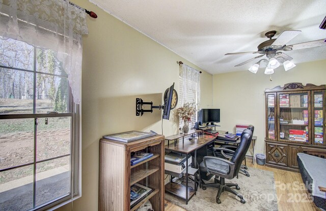 office with a textured ceiling, ceiling fan, and light wood finished floors