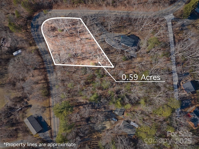 99999 Flat Top Mountain Rd Unit 3, Fairview NC, 28730 land for sale