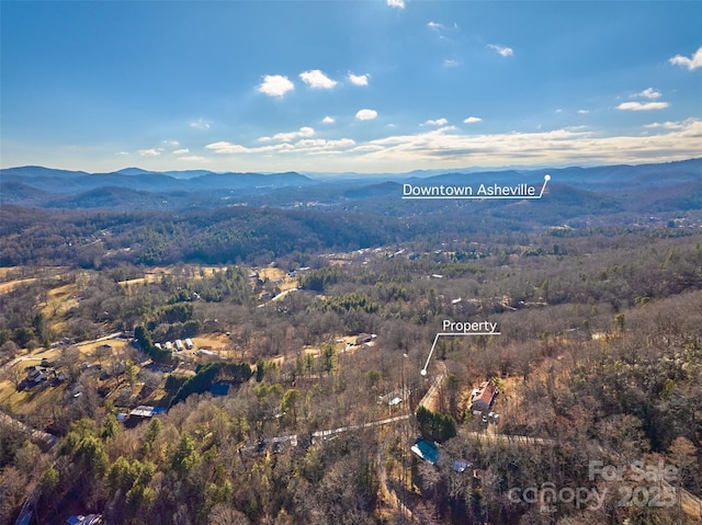 Listing photo 2 for 99999 Flat Top Mountain Rd Unit 3, Fairview NC 28730