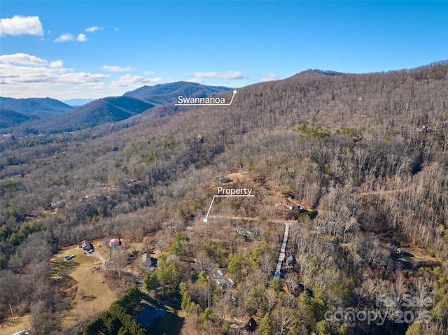 Listing photo 3 for 99999 Flat Top Mountain Rd Unit 3, Fairview NC 28730