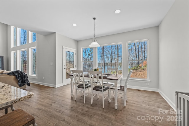 dining area featuring wood finished floors, a wealth of natural light, and baseboards