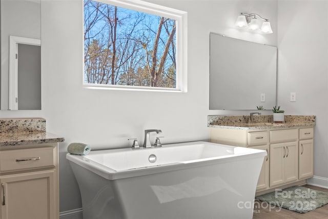 bathroom featuring a freestanding tub, plenty of natural light, vanity, and wood finished floors