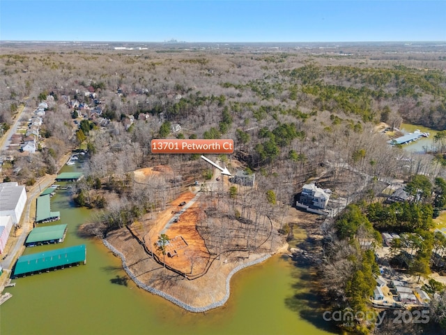 13701 Petworth Ct, Charlotte, NC 28278 - aerial overview of property's location featuring a large body of water and a forest