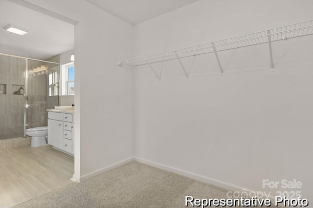 spacious closet with light carpet