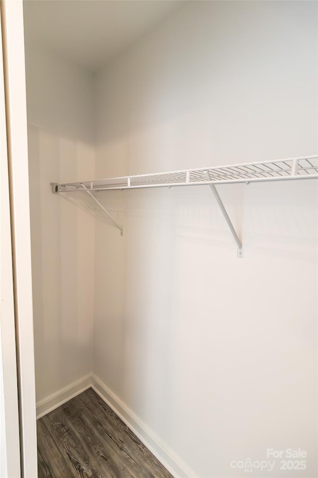 spacious closet featuring dark wood-style flooring