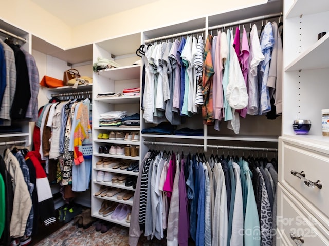 view of spacious closet