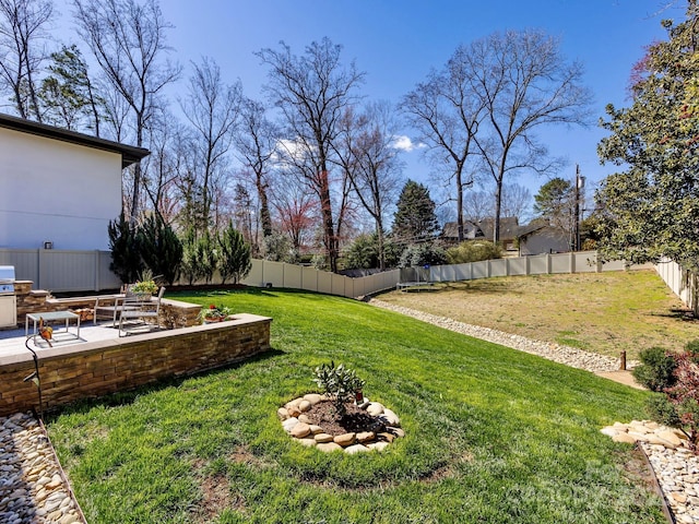 view of yard with a fenced backyard and a patio