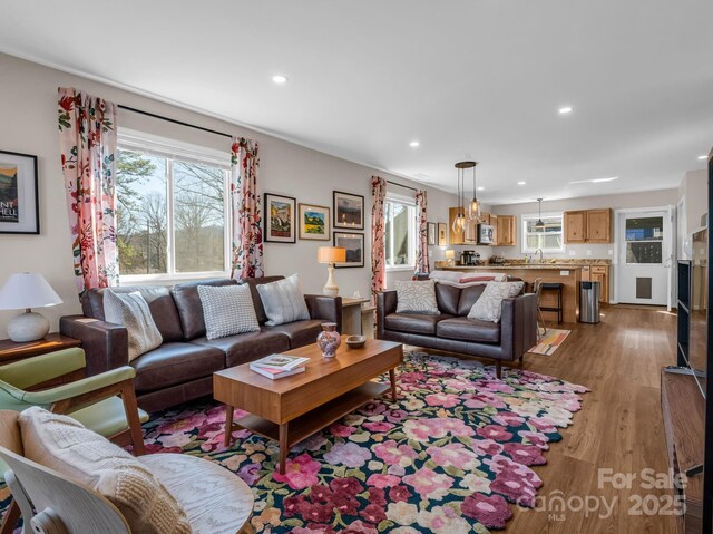 living area featuring recessed lighting and wood finished floors