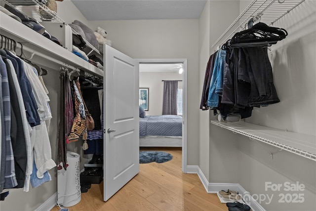 spacious closet featuring wood finished floors