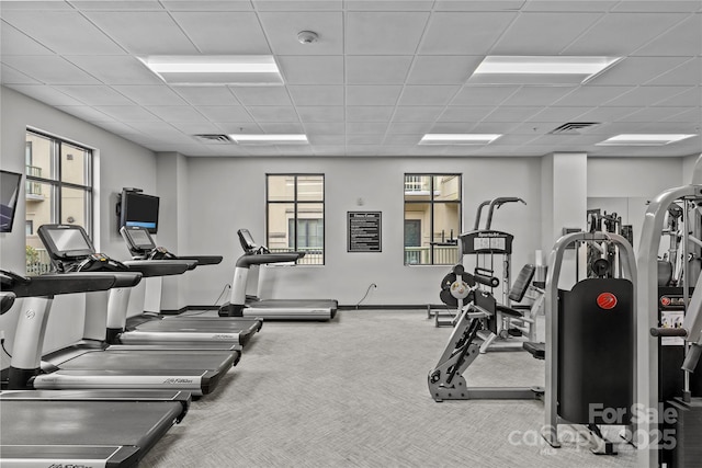 exercise room with carpet floors, visible vents, and a drop ceiling