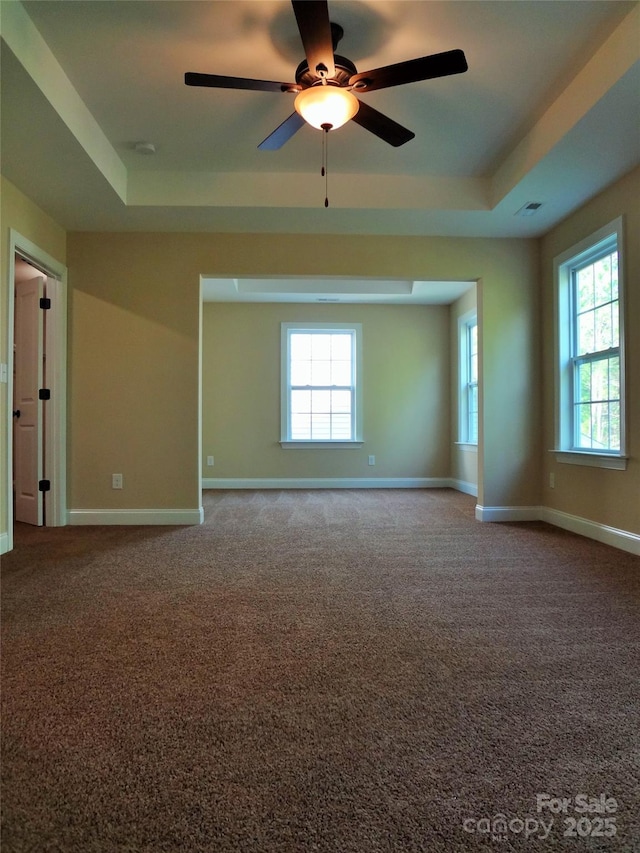 carpeted spare room with a raised ceiling, plenty of natural light, and baseboards