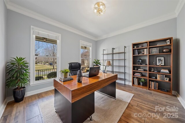 office area with crown molding, baseboards, and hardwood / wood-style floors