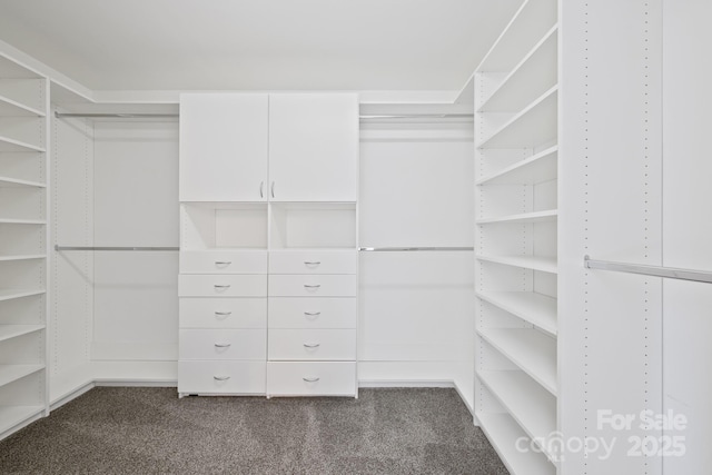 walk in closet featuring dark colored carpet