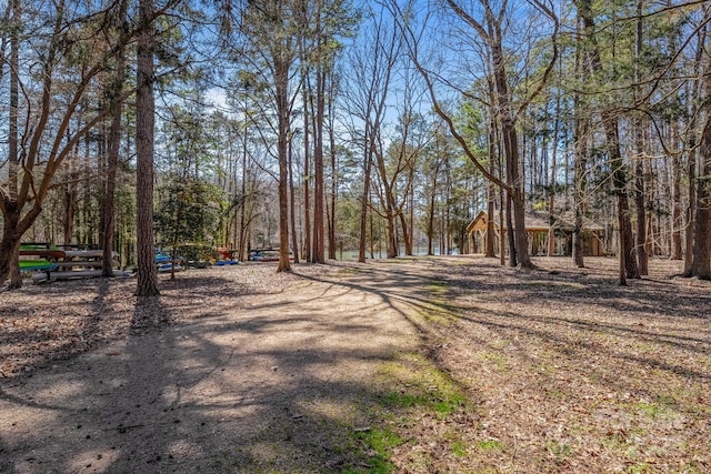 view of street with dirt driveway