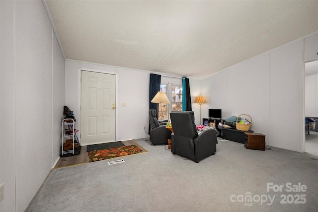 carpeted living room with a textured ceiling