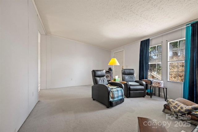 sitting room with a textured ceiling and carpet