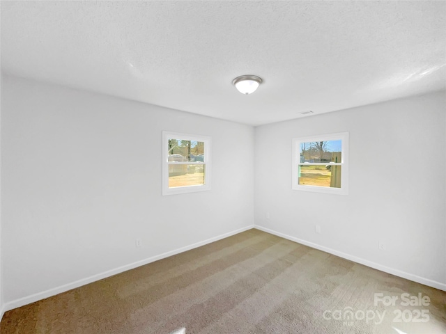 carpeted empty room with a textured ceiling, plenty of natural light, and baseboards