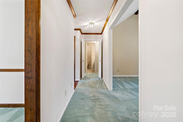 hall featuring carpet floors, crown molding, and baseboards