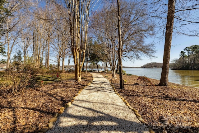 surrounding community featuring a water view