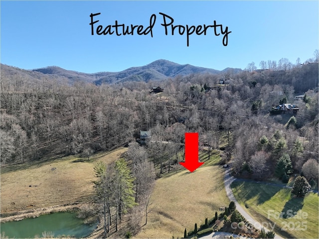 19 October Scenic Dr, Waynesville NC, 28785 land for sale