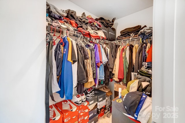 view of spacious closet