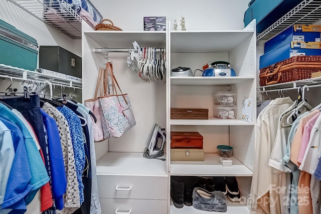 view of spacious closet