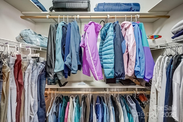 view of walk in closet