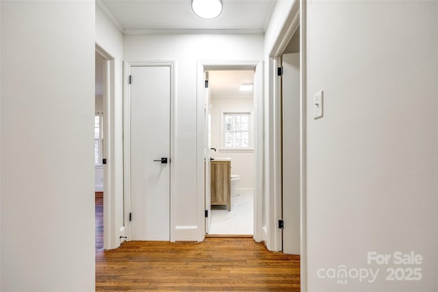 hallway with crown molding and wood finished floors