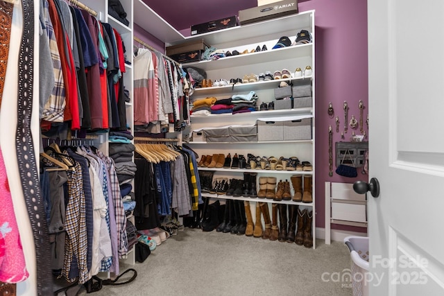 walk in closet with carpet floors