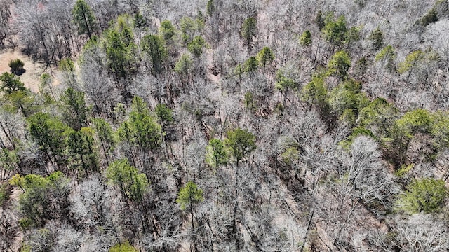 aerial view featuring a wooded view