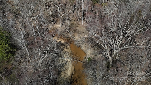 view of nature featuring a wooded view