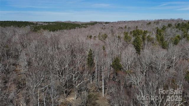 view of local wilderness with a forest view