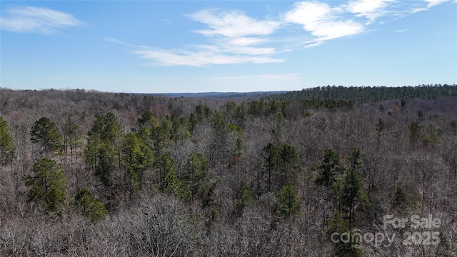 view of local wilderness with a forest view