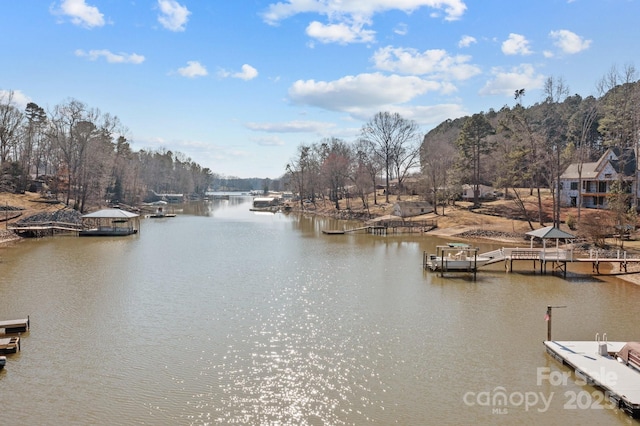 dock area with a water view