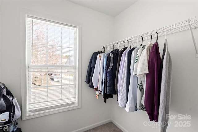 walk in closet featuring carpet floors