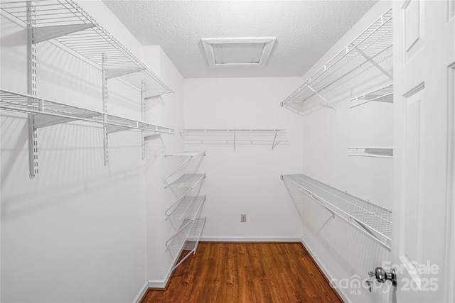 walk in closet featuring attic access and wood finished floors