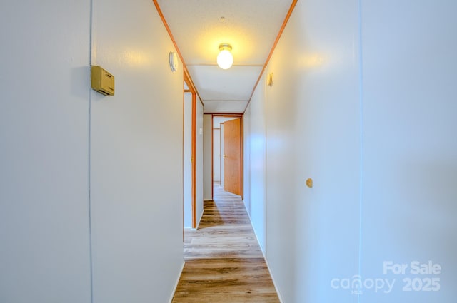 hallway featuring light wood-style floors