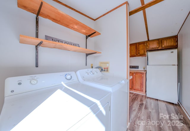 clothes washing area featuring ornamental molding, laundry area, separate washer and dryer, and light wood-style floors