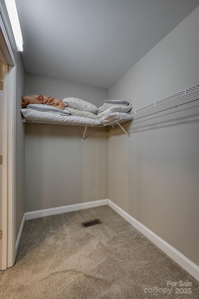 walk in closet featuring carpet and visible vents