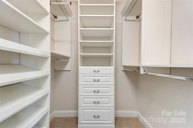 view of spacious closet