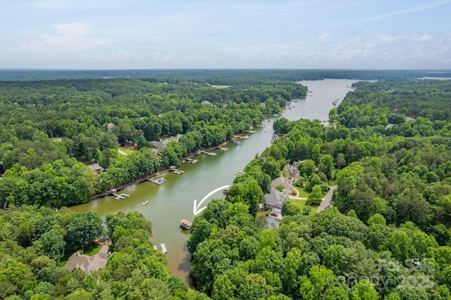 bird's eye view with a wooded view and a water view