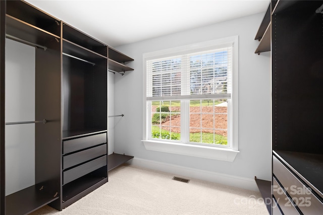 walk in closet featuring visible vents and carpet