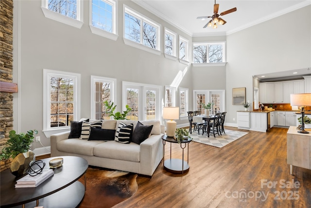 228 Wildwood Cove Dr, Mooresville, NC 28117 - living room with a high ceiling, dark wood-style flooring, ornamental molding, and ceiling fan