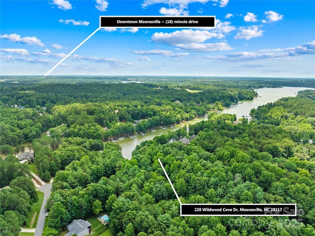 228 Wildwood Cove Dr, Mooresville, NC 28117 - bird's eye view of a heavily wooded area and a large body of water