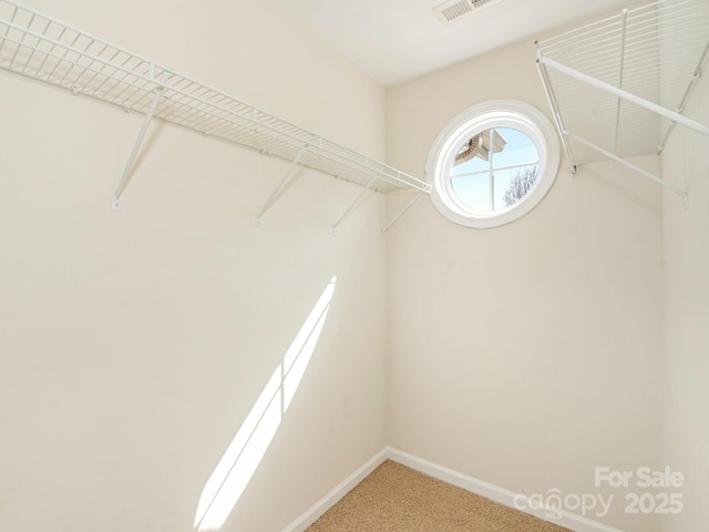 walk in closet with visible vents and carpet floors