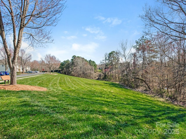 view of yard