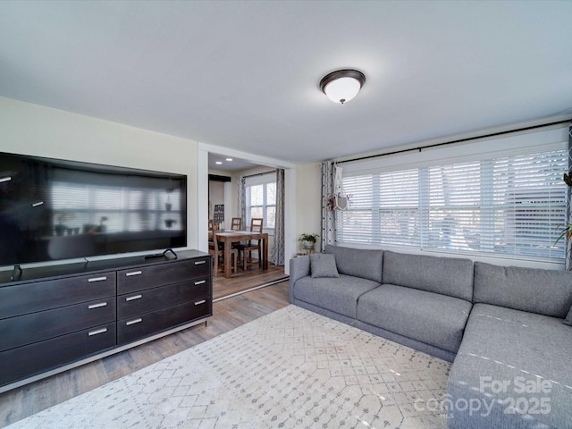 living area featuring light wood finished floors